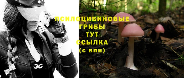 прущая мука Нязепетровск