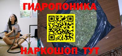 гидра Бийск