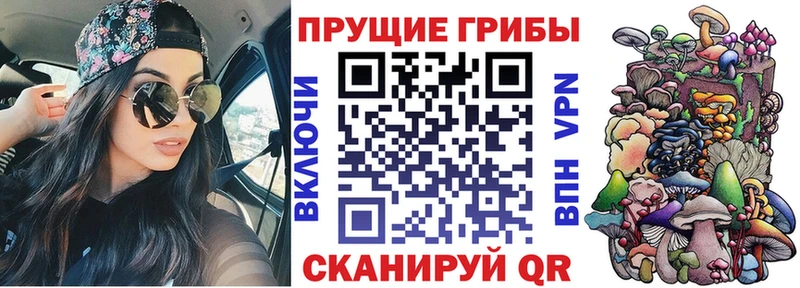 kraken онион  нарко площадка какой сайт  Галлюциногенные грибы мухоморы  Мурино 