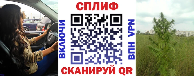 Марихуана индика  KRAKEN   Мурино 